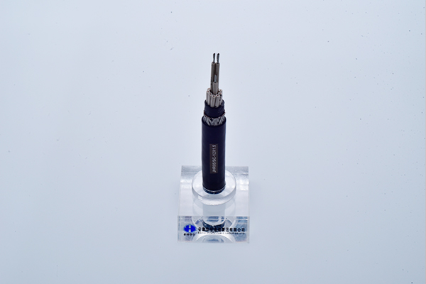 交聯聚乙烯絕緣艦船用水密型控制電纜