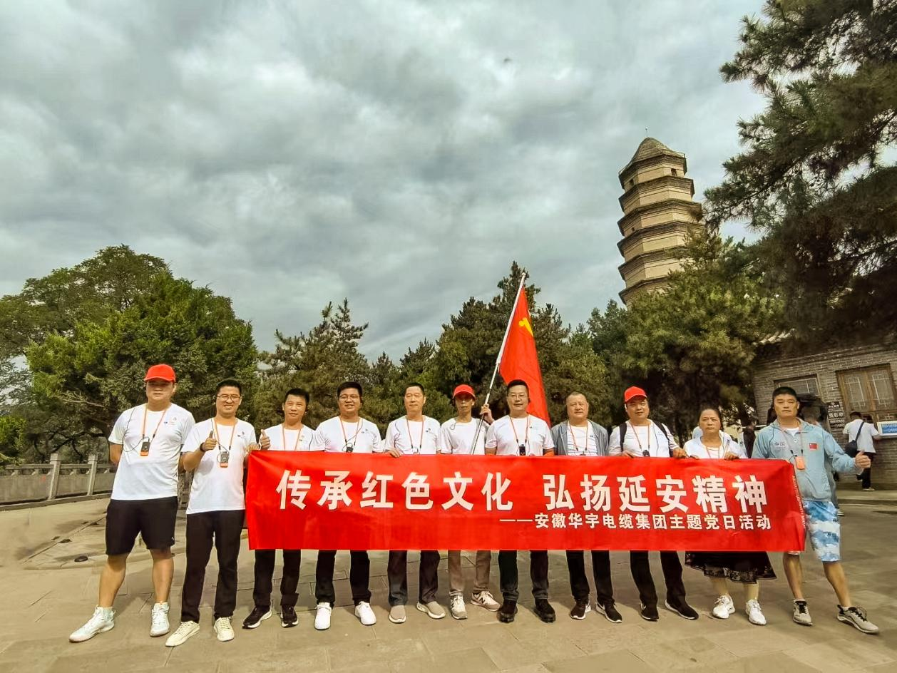               踐行延安精神 筑牢信仰之基 —安徽華宇集團黨支部、無為市工信局黨總支聯合...